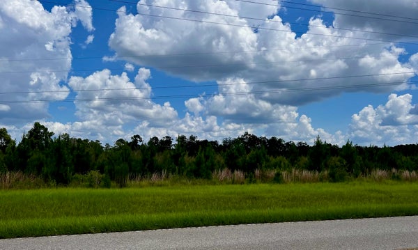 24 SOLOMON DAIRY RD, QUINCY, FL 32352 - Image 8ce5bd274812d60d2e741e7fe406d8e6/1938955810