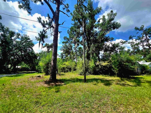 Tiny photo for Lots 6-8 N Washington Street, Perry, FL 32347 (MLS # 401658)