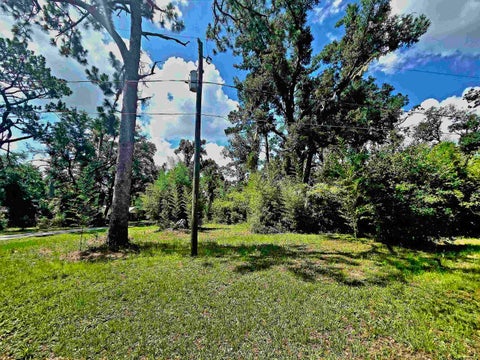 Tiny photo for Lots 6-8 N Washington Street, Perry, FL 32347 (MLS # 401658)