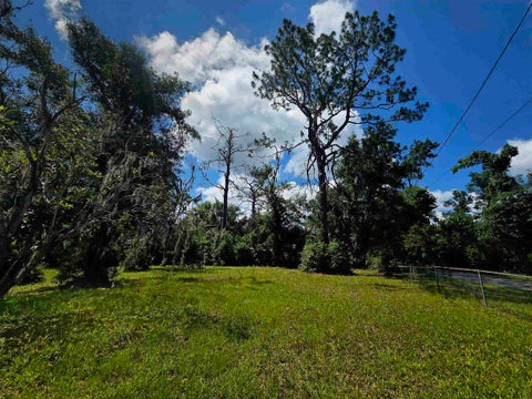 Tiny photo for Lots 6-8 N Washington Street, Perry, FL 32347 (MLS # 401658)