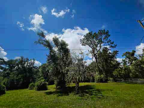 Tiny photo for Lots 6-8 N Washington Street, Perry, FL 32347 (MLS # 401658)