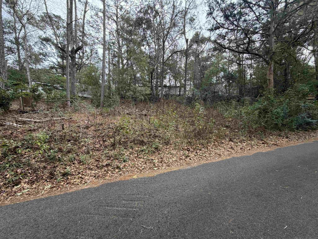 Photo of 1919 Sika Deer Lane, Tallahassee, FL 32304 (MLS # 395825)