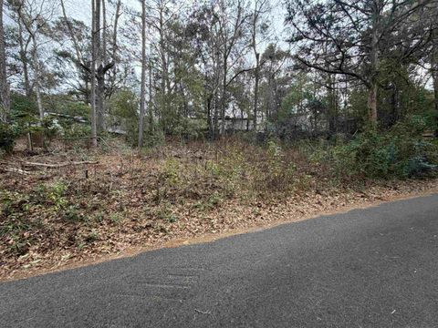 Tiny photo for 1919 Sika Deer Lane, Tallahassee, FL 32304 (MLS # 395825)