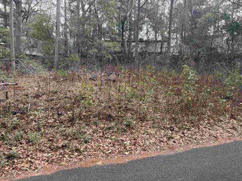 Tiny photo for 1919 Sika Deer Lane, Tallahassee, FL 32304 (MLS # 395825)