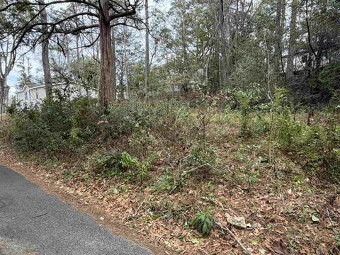 Tiny photo for 1919 Sika Deer Lane, Tallahassee, FL 32304 (MLS # 395825)