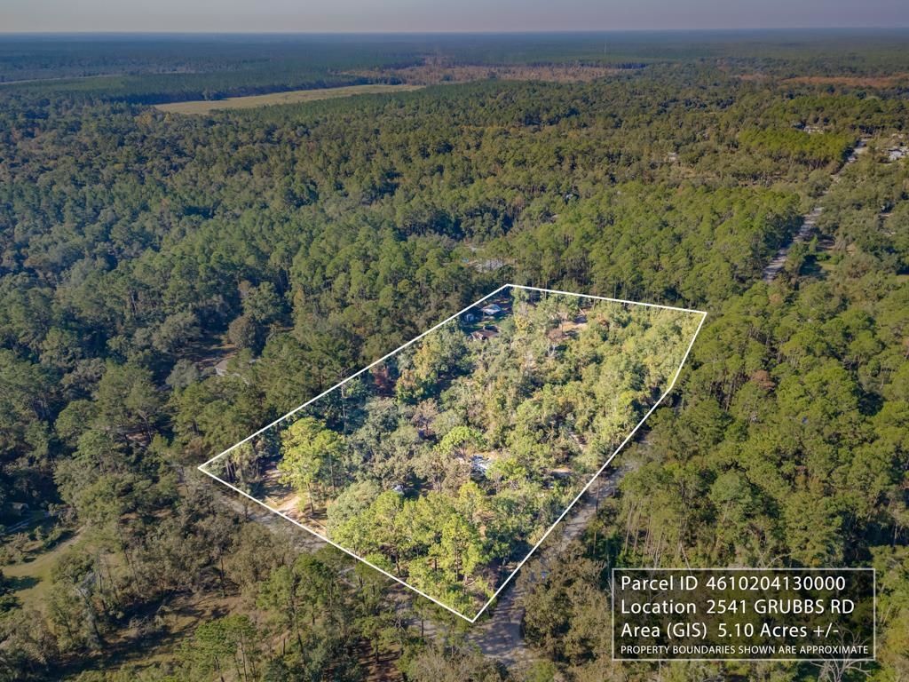 Photo of 2541 Grubbs Road, Tallahassee, FL 32305 (MLS # 387120)