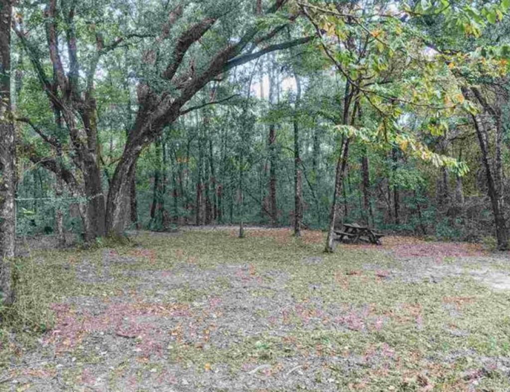 Photo of 102 Lauderdale Lane, Crawfordville, FL 32327 (MLS # 391077)