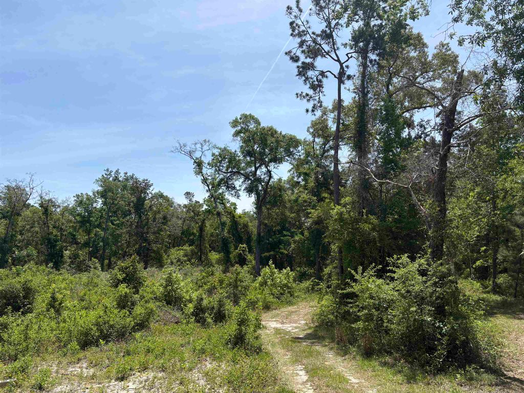 Photo of 146 Rudolph Ln Ln, Monticello, FL 32344 (MLS # 398855)