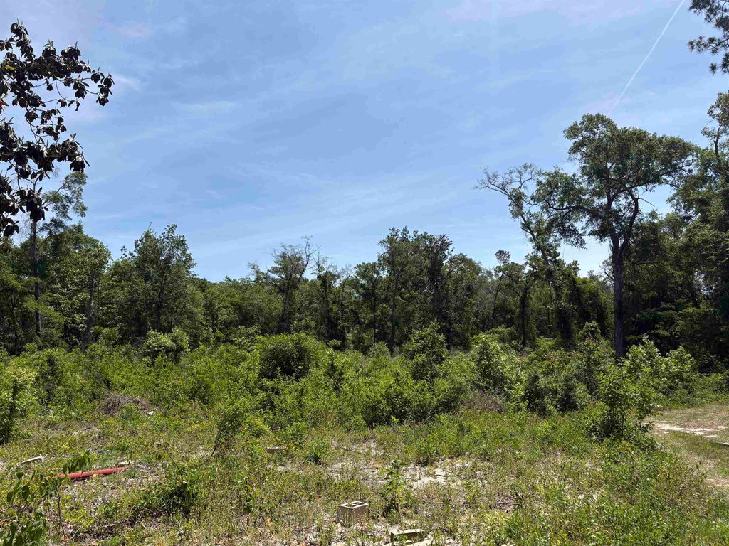 Photo of 146 Rudolph Ln Ln, Monticello, FL 32344 (MLS # 398855)