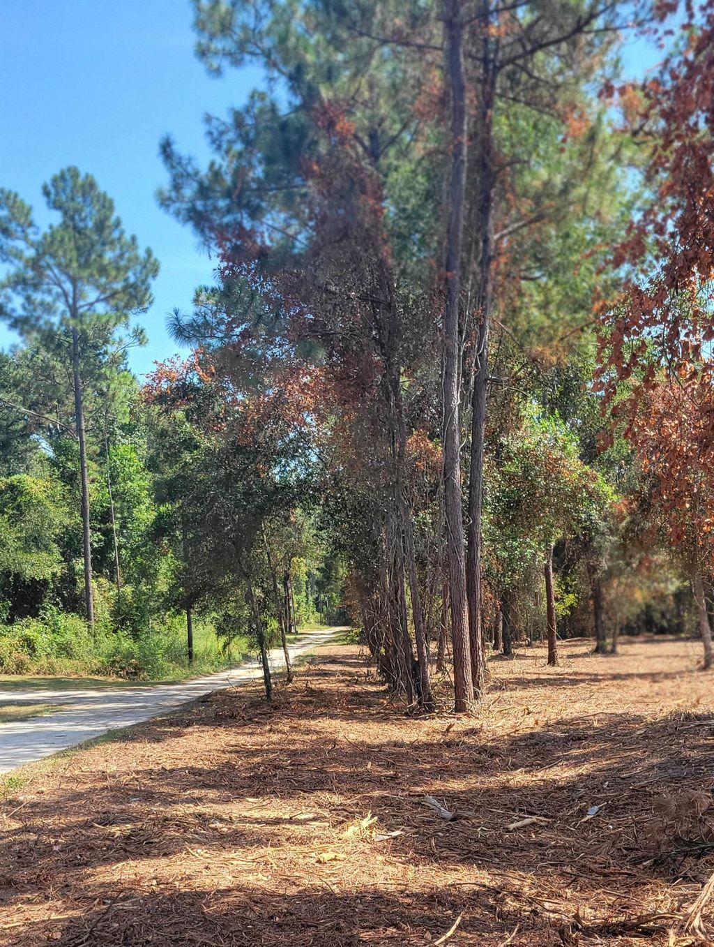 Photo of 0 Crawfordville Highway, Crawfordville, FL 32327 (MLS # 391917)