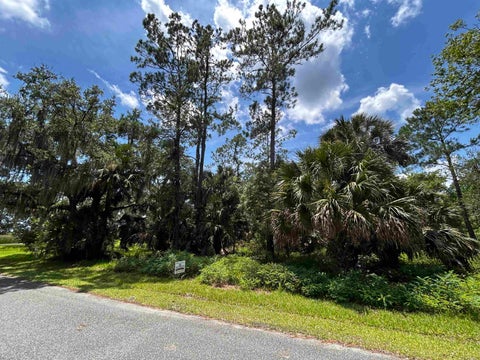 Tiny photo for x Union Street, St Marks, FL 32355 (MLS # 401799)