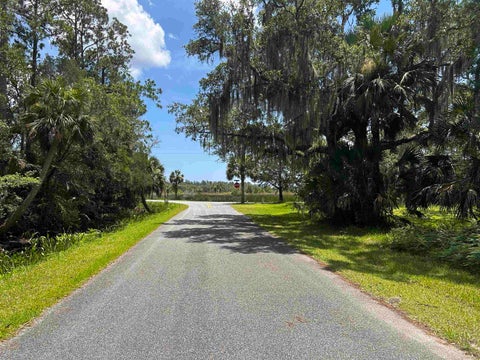 Tiny photo for x Union Street, St Marks, FL 32355 (MLS # 401799)