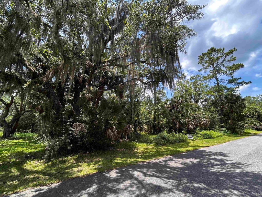 Photo of x Union Street, St Marks, FL 32355 (MLS # 401799)