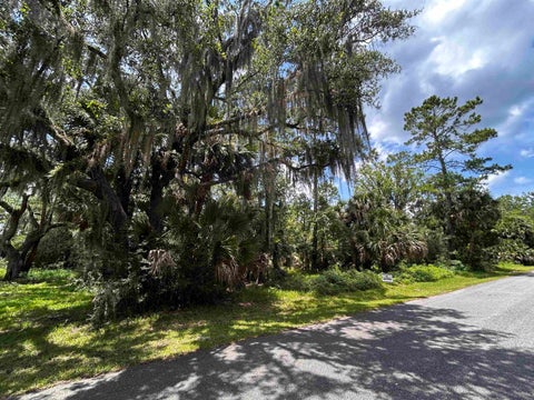 Photo of x Union Street, St Marks, FL 32355 (MLS # 401799)