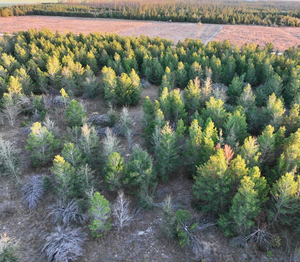 Photo of 0000 NE Loblolly Trail, Lee, FL 32059 (MLS # 396605)