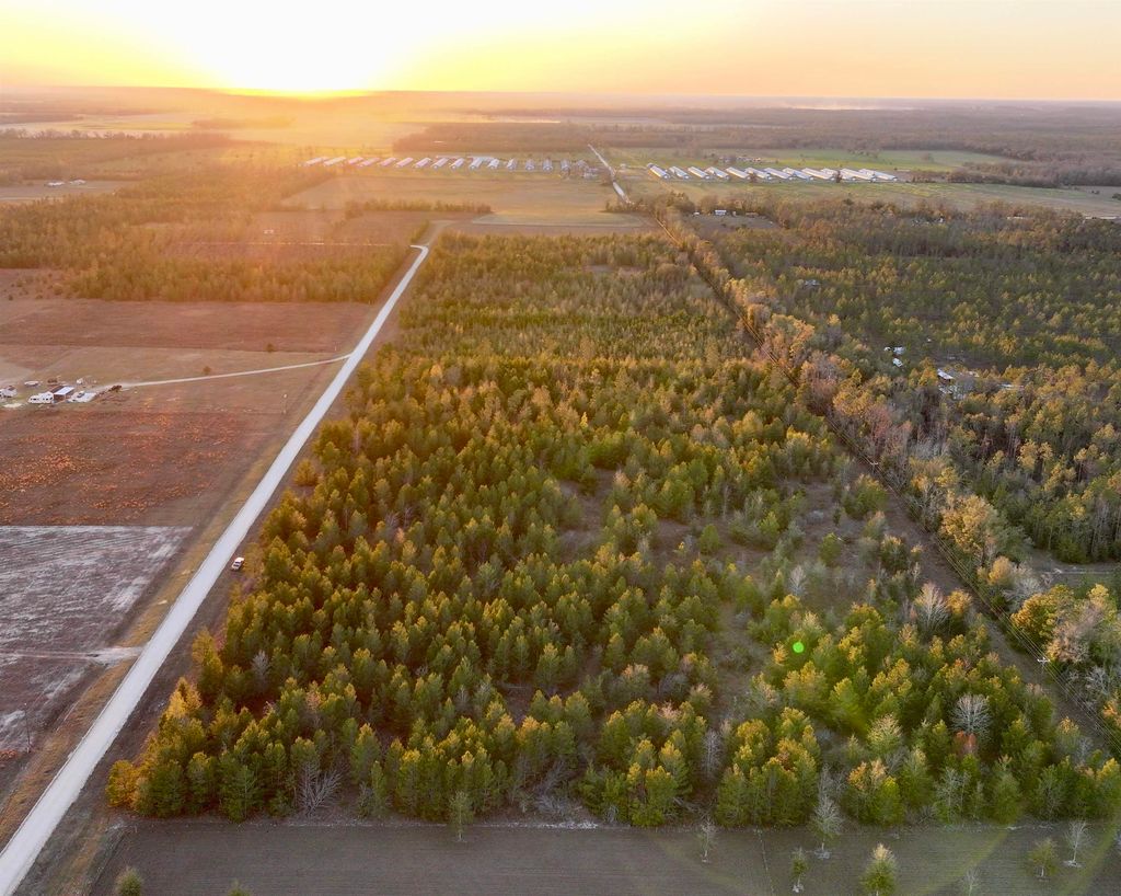 Photo of 0000 NE Loblolly Trail, Lee, FL 32059 (MLS # 396605)