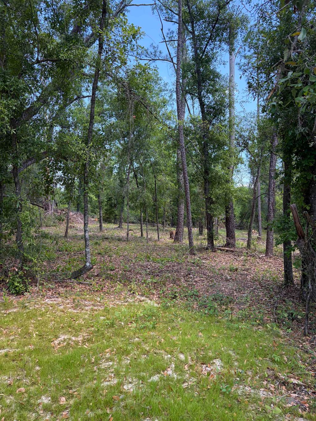 Photo of NE Ivy Drive, Lee, FL 32059 (MLS # 398652)