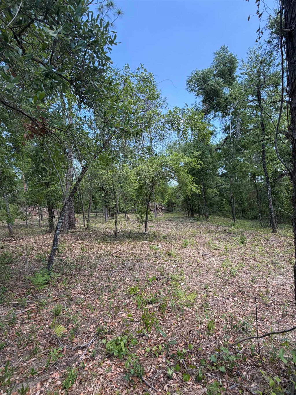 Photo of NE Ivy Drive, Lee, FL 32059 (MLS # 398652)