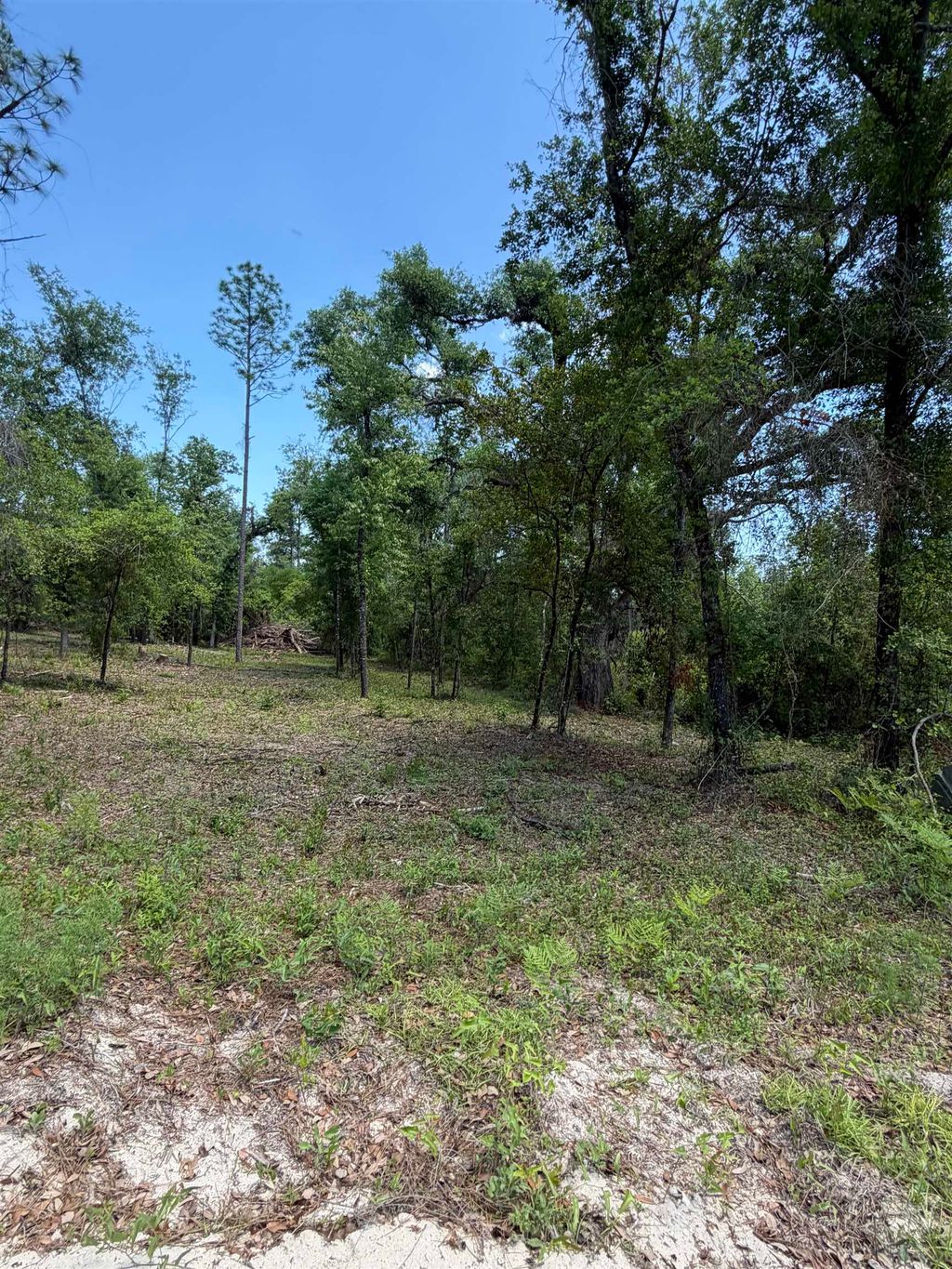 Photo of NE Ivy Drive, Lee, FL 32059 (MLS # 398652)