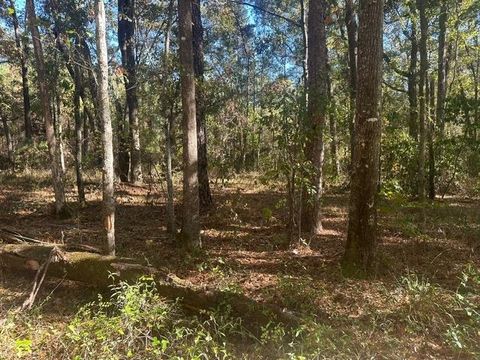 Tiny photo for 15196 Casland Drive, Tallahassee, FL 32309 (MLS # 393197)