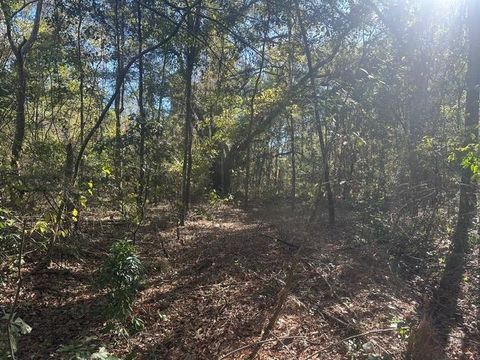 Tiny photo for 15196 Casland Drive, Tallahassee, FL 32309 (MLS # 393197)