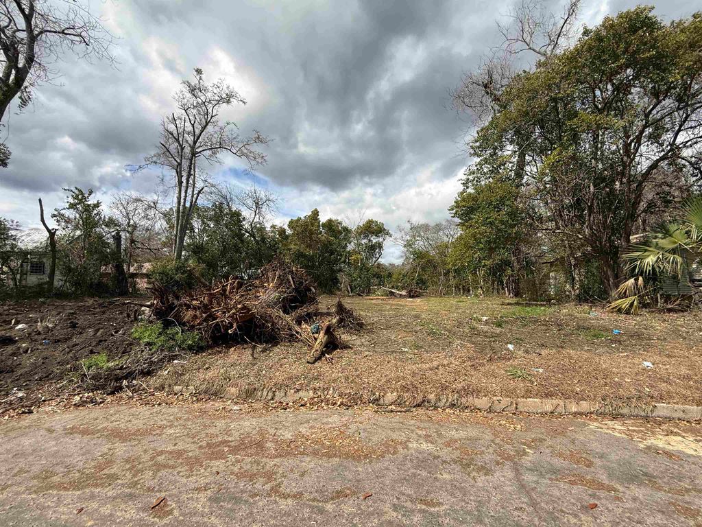 Photo of 314 &amp; 320 West Jerger Street, Thomasville, GA 31792 (MLS # 397919)