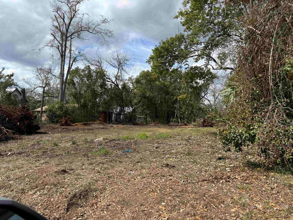 Photo of 314 &amp; 320 West Jerger Street, Thomasville, GA 31792 (MLS # 397919)