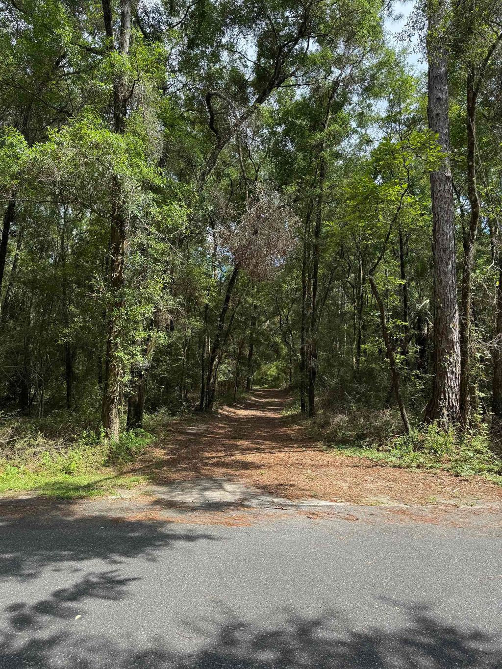 Photo of 122 Horseshoe Trail, Crawfordville, FL 32327 (MLS # 389829)