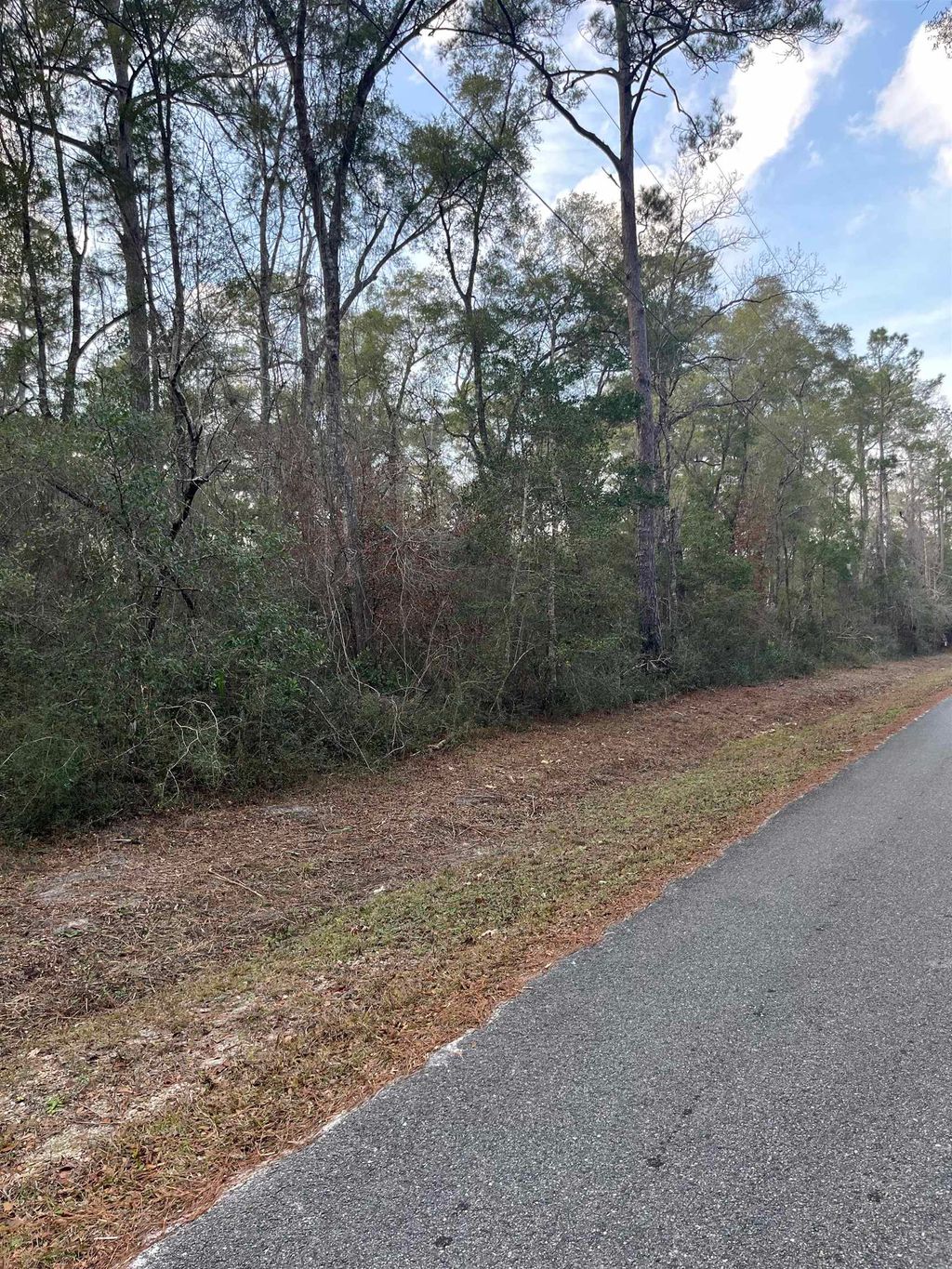Photo of xx White Oak Drive, Crawfordville, FL 32327 (MLS # 394796)