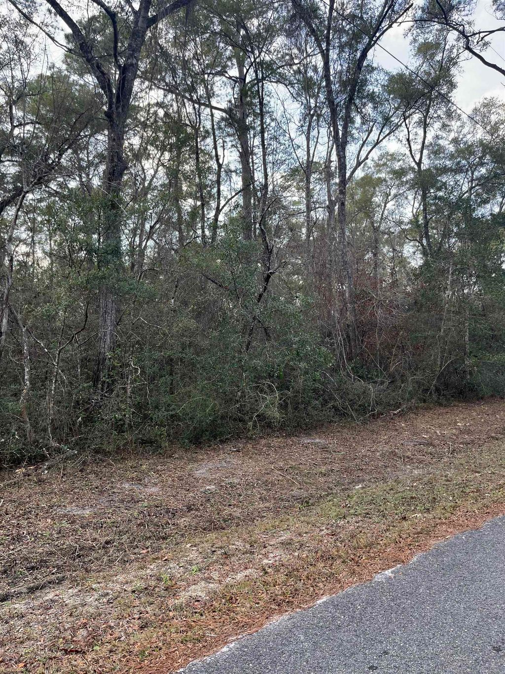 Photo of xx White Oak Drive, Crawfordville, FL 32327 (MLS # 394796)