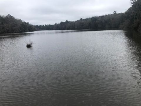 Photo of 18055 Rakestraw Dr, Tallahassee, FL 32310 (MLS # 374676)