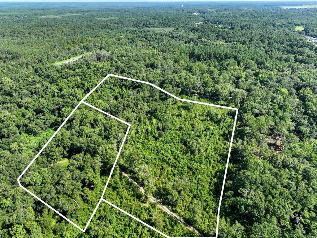 Photo of 4778 Emanuel Lane, Tallahassee, FL 32303 (MLS # 382829)