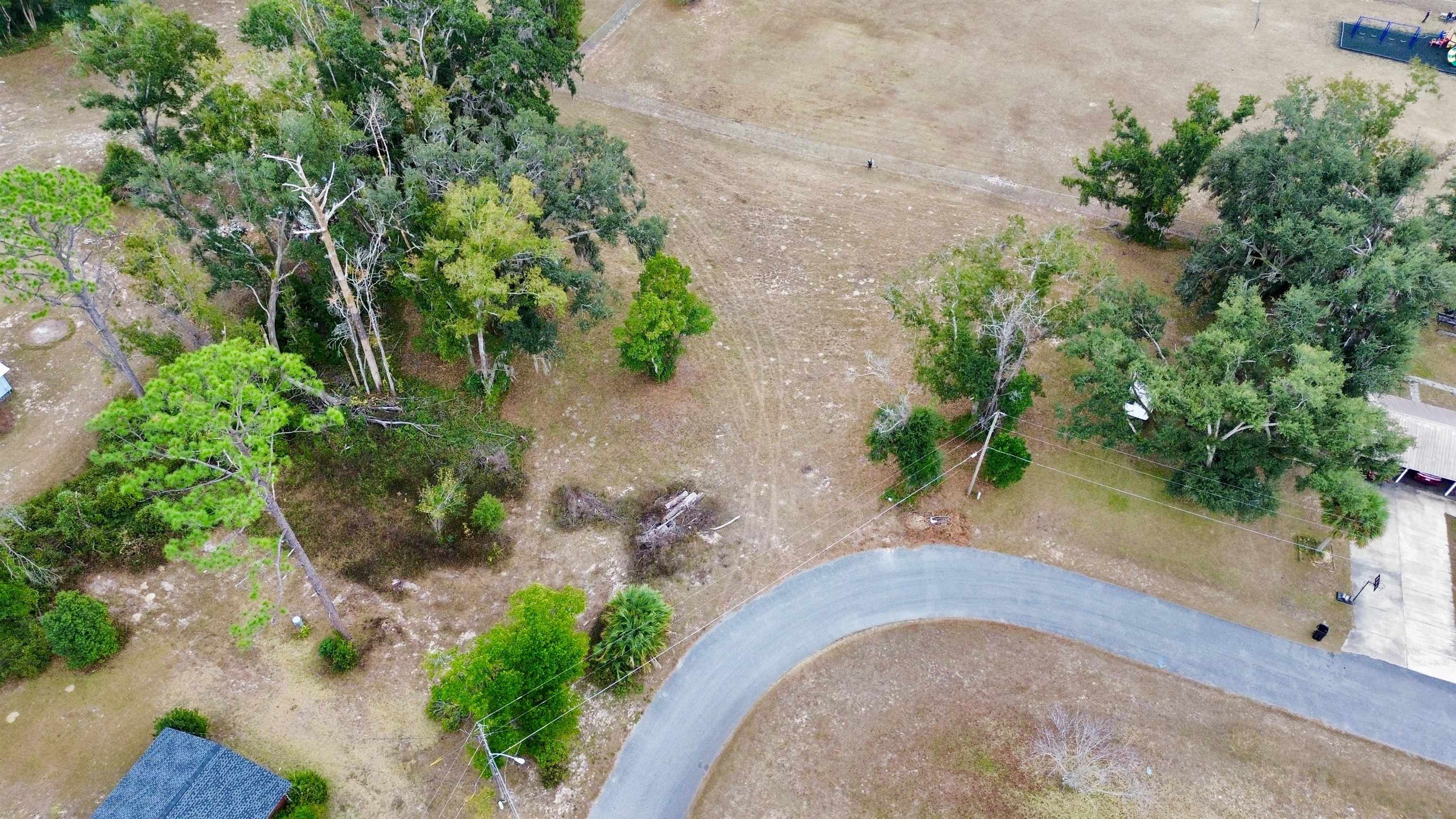 Vacant Forest Circle