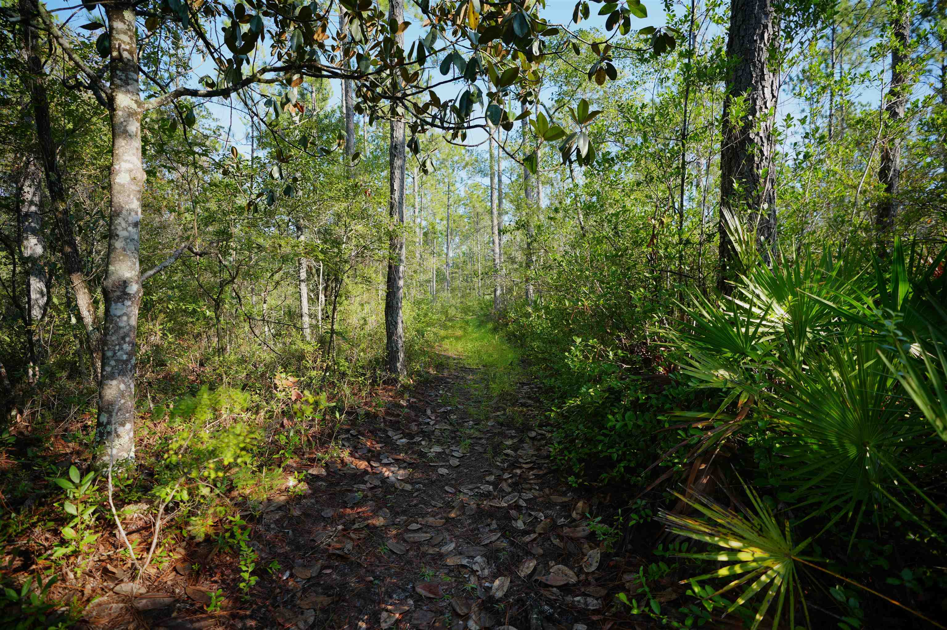 02 Blountstown Highway
