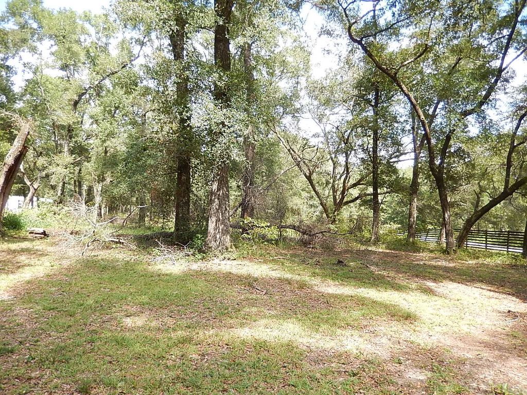 Photo of 171 Bear Creek Road, Quincy, FL 32351 (MLS # 397854)
