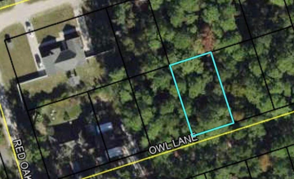 Photo of Lot 57 Owl Lane, Crawfordville, FL 32327 (MLS # 393405)