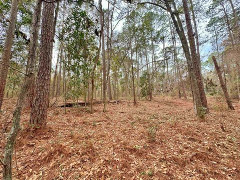 Tiny photo for xxx Tallavana Trail, Havana, FL 32333 (MLS # 396168)