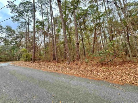 Tiny photo for xxx Tallavana Trail, Havana, FL 32333 (MLS # 396168)
