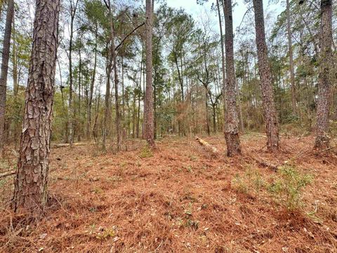 Tiny photo for xxx Tallavana Trail, Havana, FL 32333 (MLS # 396168)