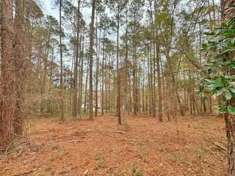 Tiny photo for xxx Tallavana Trail, Havana, FL 32333 (MLS # 396168)