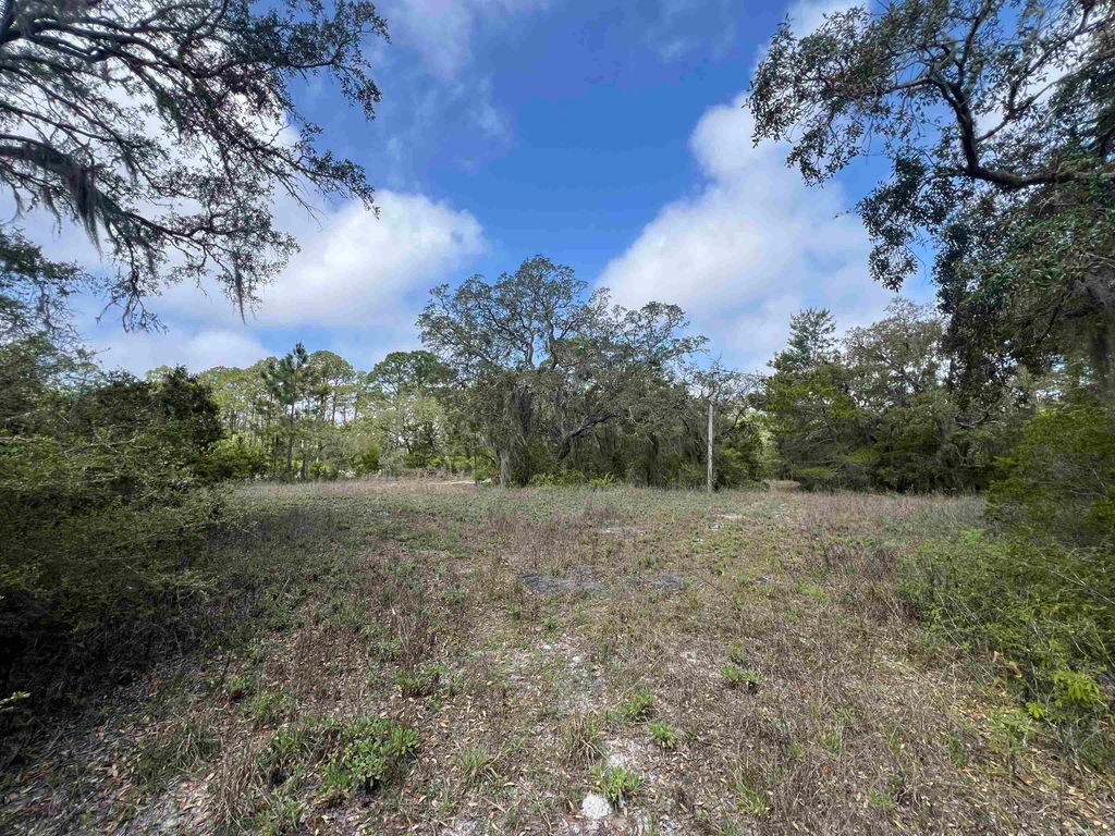 Photo of XX Surf Road, Panacea, FL 32346 (MLS # 384208)