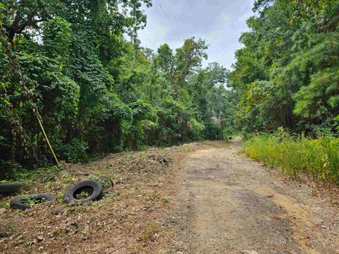 Tiny photo for 2023 Dennis Street, Tallahassee, FL 32308 (MLS # 375163)
