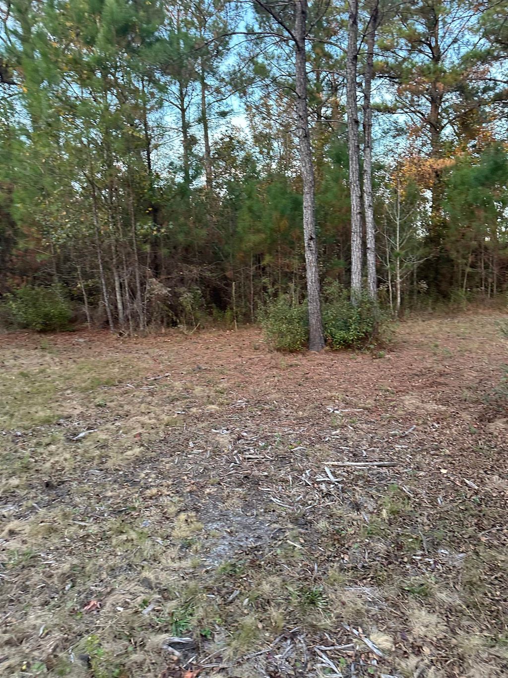 Photo of 000 Taylor Road, Monticello, FL 32344 (MLS # 394252)