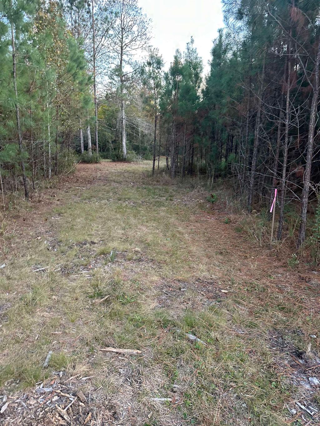 Photo of 000 Taylor Road, Monticello, FL 32344 (MLS # 394252)