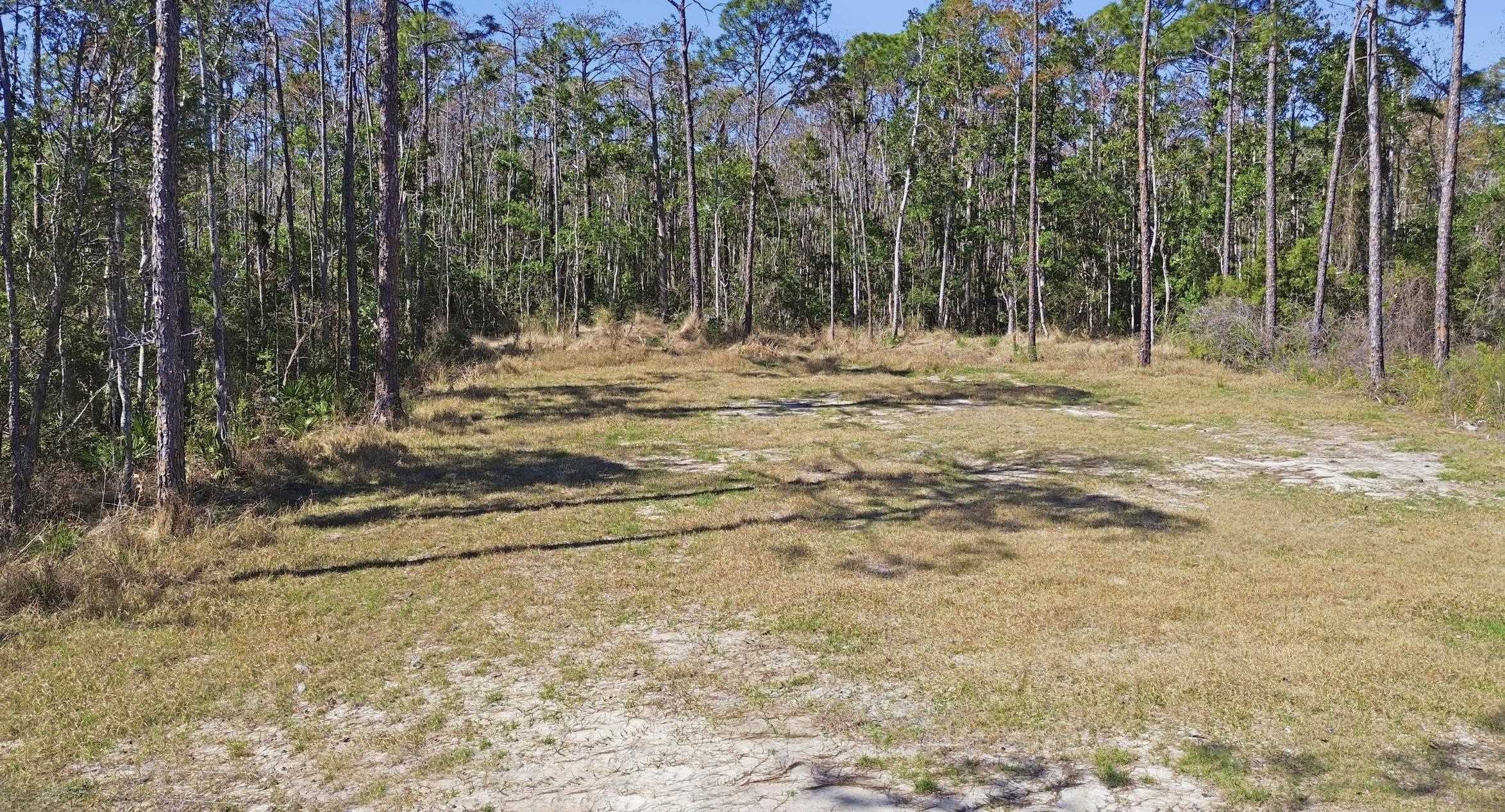 TBD Jody Morgan Road