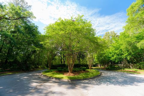 Tiny photo for 3824 E Millers Bridge Road, Tallahassee, FL 32312 (MLS # 399431)