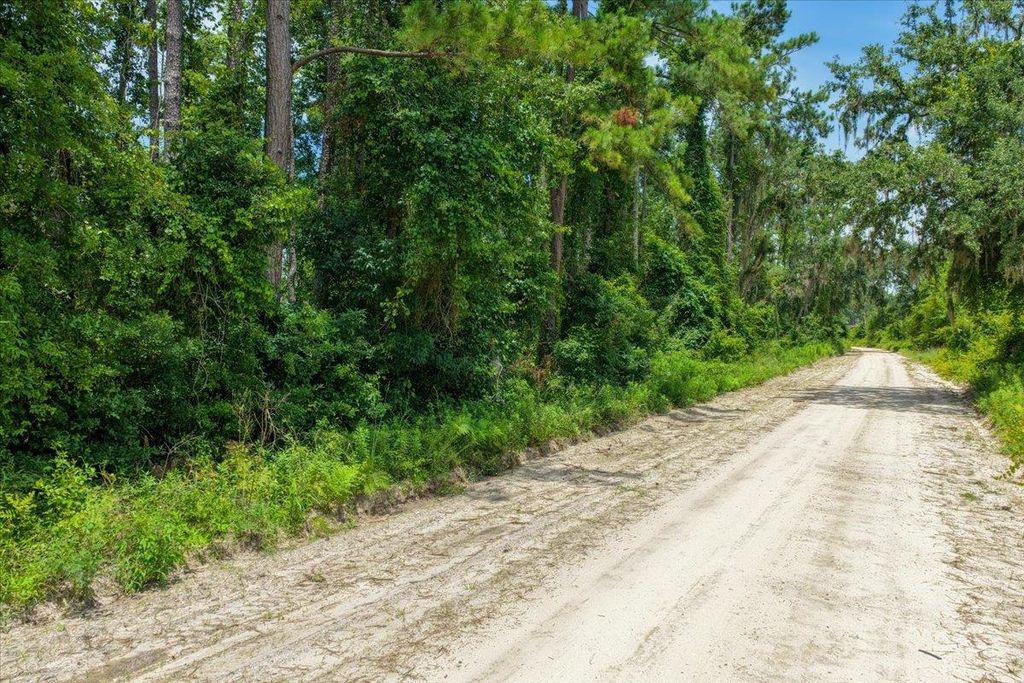 Photo of Vacant NE Bayberry Street, Madison, FL 32340 (MLS # 388065)