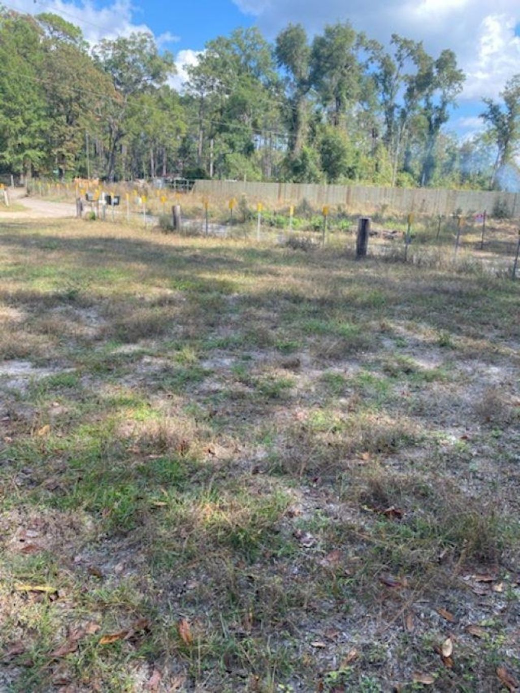 Photo of xx Ashley Hall Road, Crawfordville, FL 32327 (MLS # 393086)