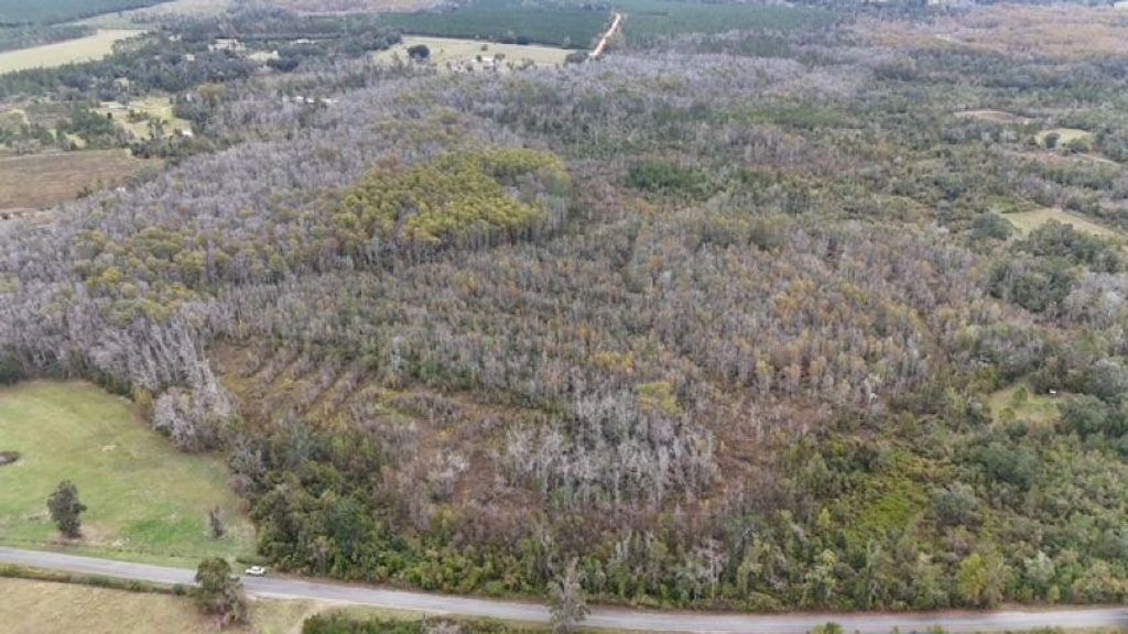 Photo of 651 NW Flowers Rd., Madison, FL 32340 (MLS # 393435)