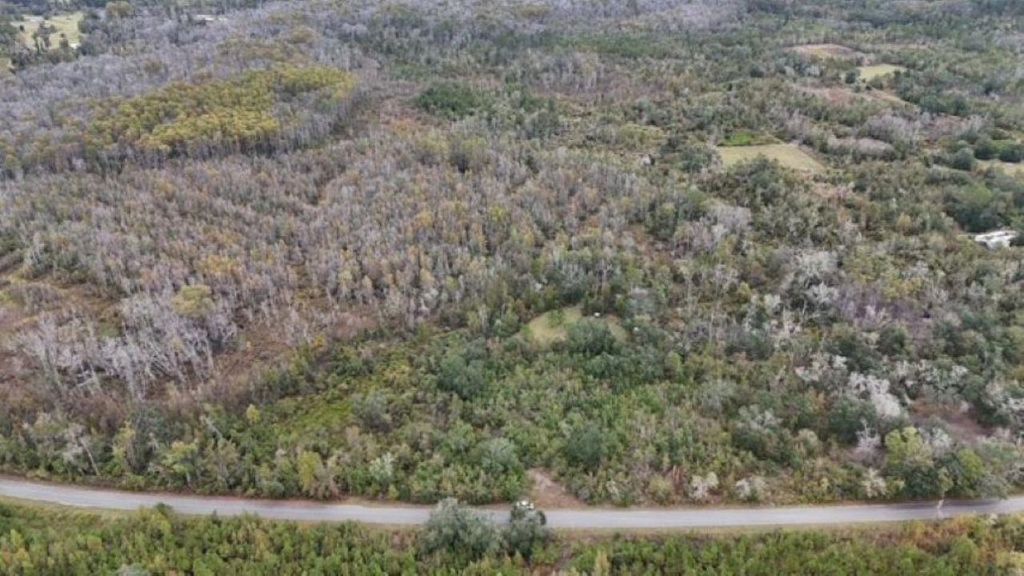 Photo of 651 NW Flowers Rd., Madison, FL 32340 (MLS # 393435)